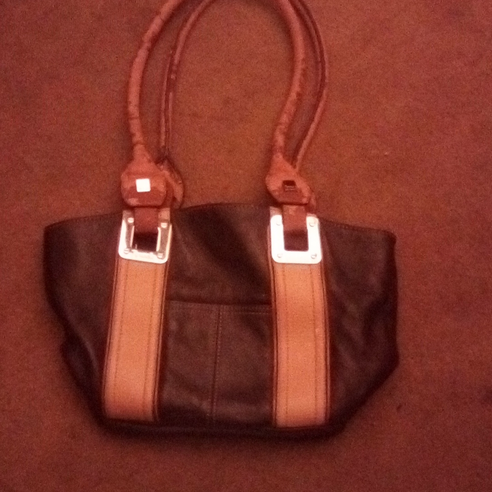 Tiganello purse